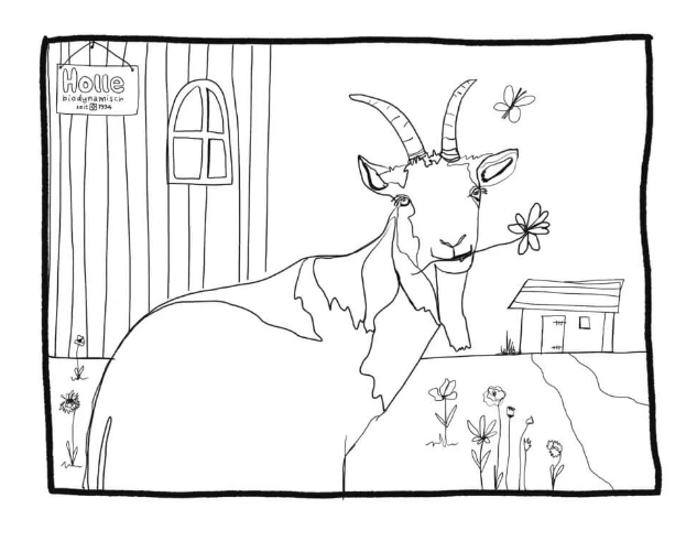 Colouring picture goat