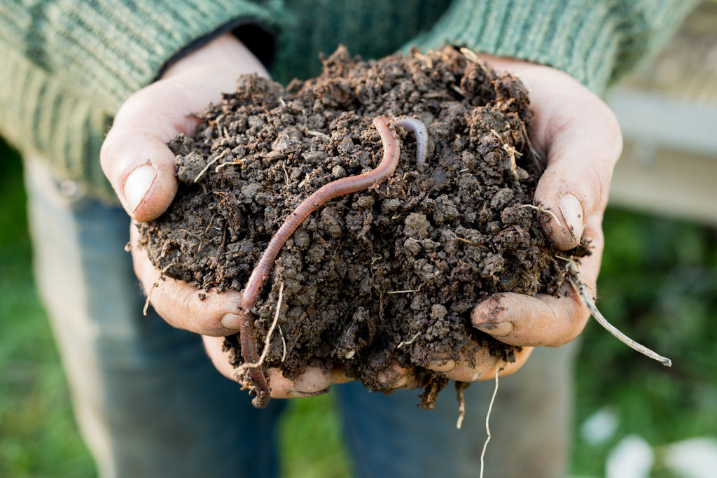 Ensuring ecological diversity
